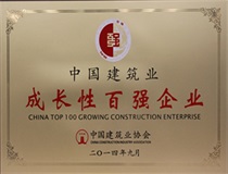 二〇一四年度中国建筑业成长性百强企业